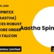 Aastha Spintex Limited Aastha Fy2026 Order Book
