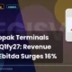 Aegis Vopak Terminals Limited Q1fy27 Results