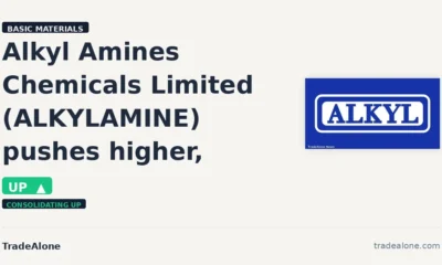 Alkyl Amines Chemicals Limited ALKYLAMINE gains 6% intraday