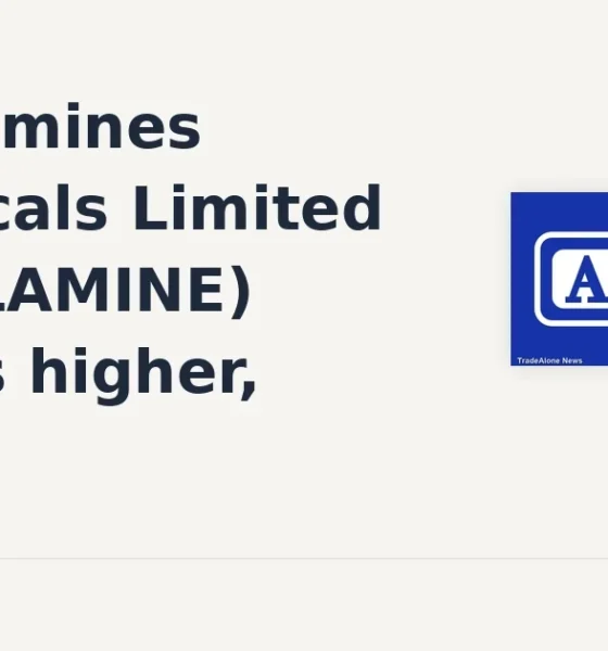 Alkyl Amines Chemicals Limited ALKYLAMINE gains 6% intraday