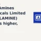 Alkyl Amines Chemicals Limited ALKYLAMINE gains 6% intraday