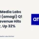 Amagi Media Labs Limited AMAGI Q1 FY27 Results