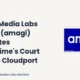 Amagi Media Labs Limited AMAGI Q3 FY26 Law&crime Court TV