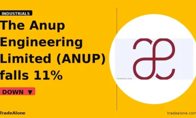 The Anup Engineering Limited ANUP stock market fall