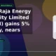 Amara Raja Energy & Mobility Limited ARE&M gains 5% intraday