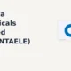 Atlanta Electricals Limited ATLANTAELE gains 5% intraday