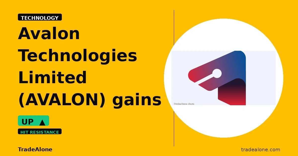 Avalon Technologies Limited AVALON gains 5% intraday