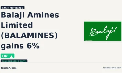 Balaji Amines Limited BALAMINES gains 6% intraday