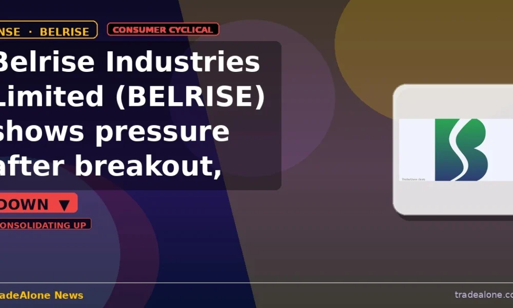Belrise Industries Limited BELRISE stock down 5% intraday