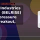 Belrise Industries Limited BELRISE stock down 5% intraday