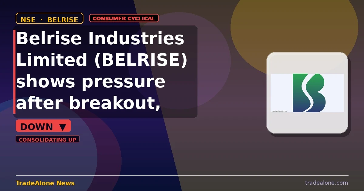 Belrise Industries Limited BELRISE stock down 5% intraday