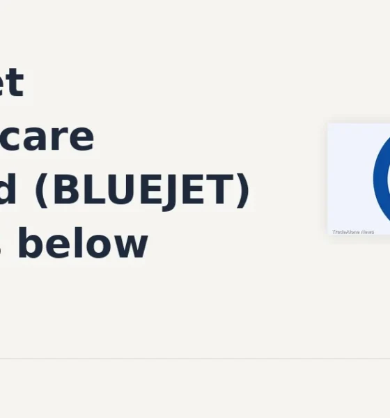 Blue Jet Healthcare Limited BLUEJET breaks below support