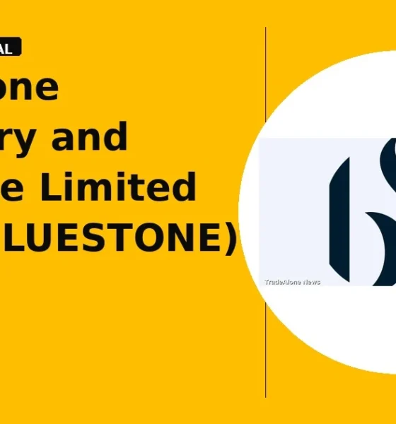 BlueStone Jewellery and Lifestyle Limited BLUESTONE breaks out