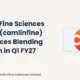 Camlin Fine Sciences Limited Camlinfine Q1 FY27 Blending