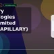 Capillary Technologies India Limited CAPILLARY breaks out