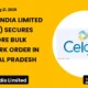 Ceigall India Limited Ceigall Q3 FY26 Bulk Drug Park Order