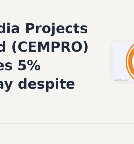 Cemindia Projects Limited CEMPRO intraday bounce
