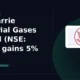 Ellenbarrie Industrial Gases Limited ELLEN gains 5% intraday nears resistance