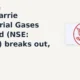 Ellenbarrie Industrial Gases Limited ELLEN breaks out