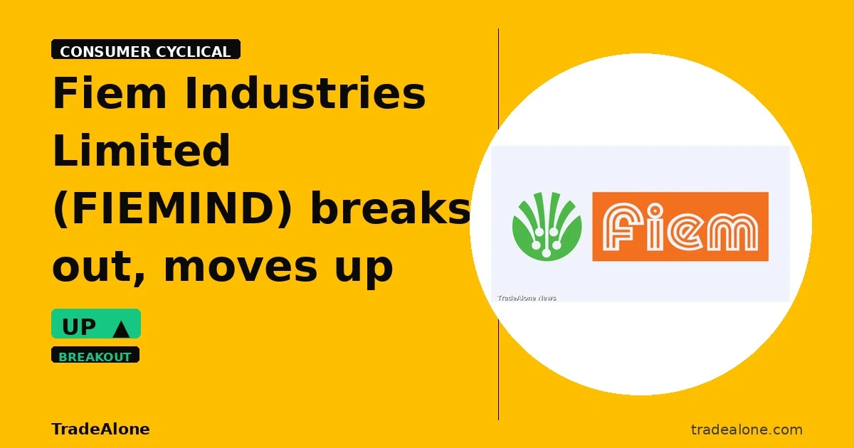 Fiem Industries Limited FIEMIND breakout