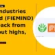 Fiem Industries Limited FIEMIND retraces post-breakout gains