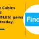 Finolex Cables Limited FINCABLES gains 10% intraday