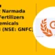Gujarat Narmada Valley Fertilizers and Chemicals Limited GNFC breaks out