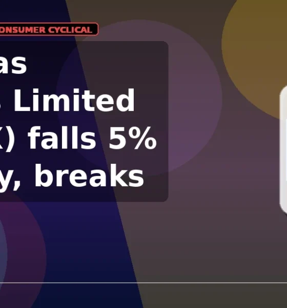 Gokaldas Exports Limited GOKEX breaks below support