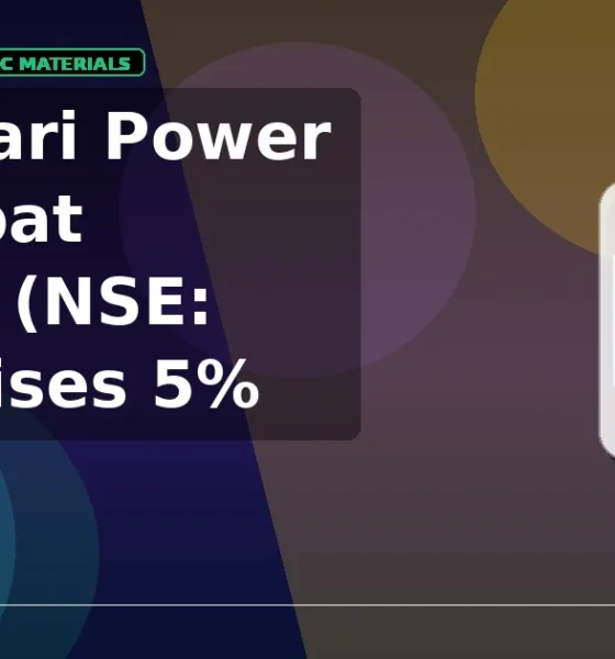 Godawari Power And Ispat limited GPIL intraday rise