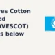 Greaves Cotton Limited GREAVESCOT breaks below support