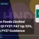Hindustan Foods Limited Hndfds Q1 FY27