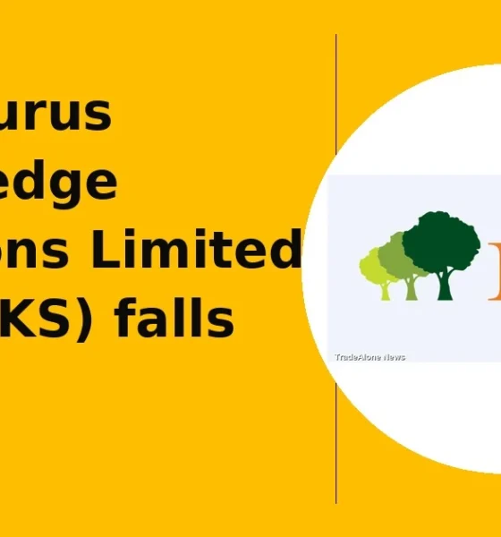 Inventurus Knowledge Solutions Limited NSE IKS breakdown