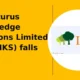 Inventurus Knowledge Solutions Limited NSE IKS breakdown