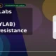 Jyothy Labs Limited JYOTHYLAB clears resistance