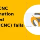 Jyoti CNC Automation Limited JYOTICNC falls 11% intraday