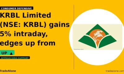 KRBL Limited NSE KRBL gains 5% intraday