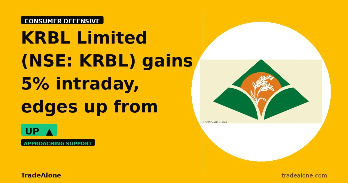 KRBL Limited NSE KRBL gains 5% intraday