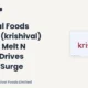 Krishival Foods Limited Krishival Q1 FY27 Results