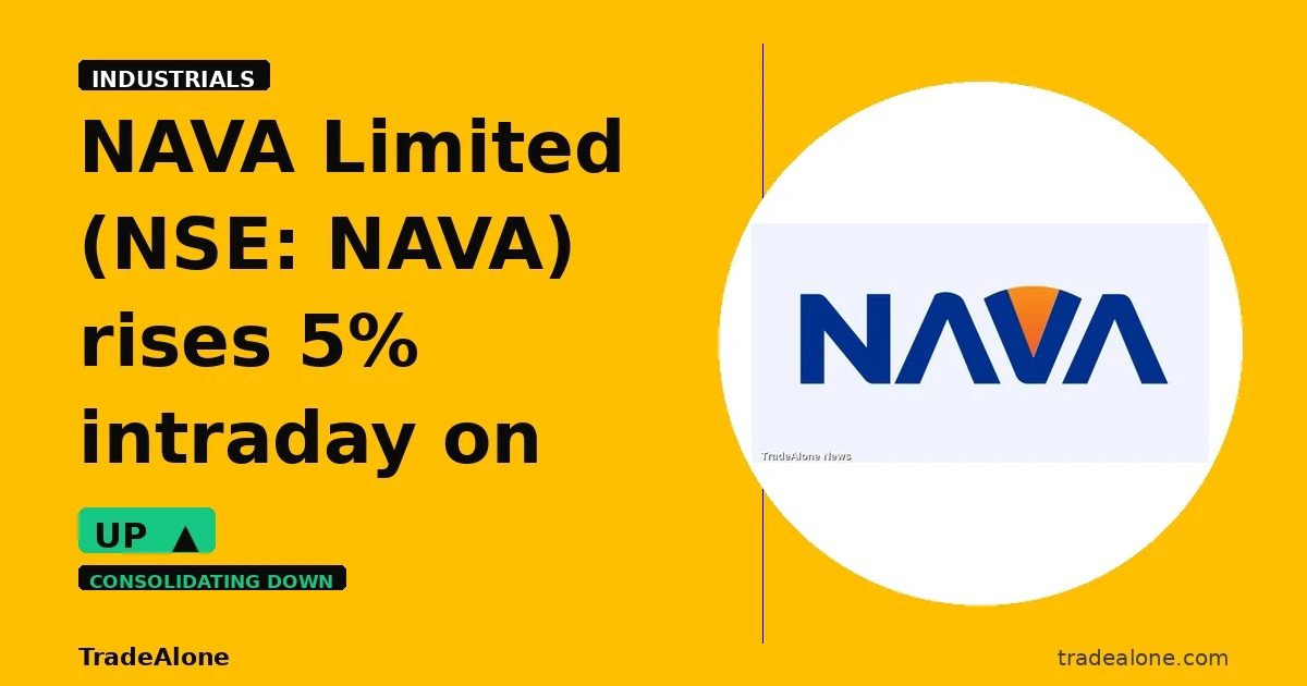 NAVA Limited NSE NAVA rises 5% intraday