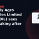 Piccadily Agro Industries Limited PICCADIL moves down 12% intraday