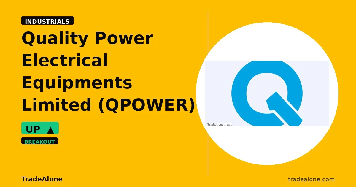 Quality Power Electrical Equipments Limited QPOWER breakout