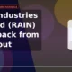 Rain Industries Limited RAIN falls 6% intraday post-breakout