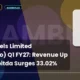 Advit Jewels Limited Rambhajo Q1 FY27 Results