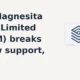 RHI Magnesita India Limited RHIM breaks below support