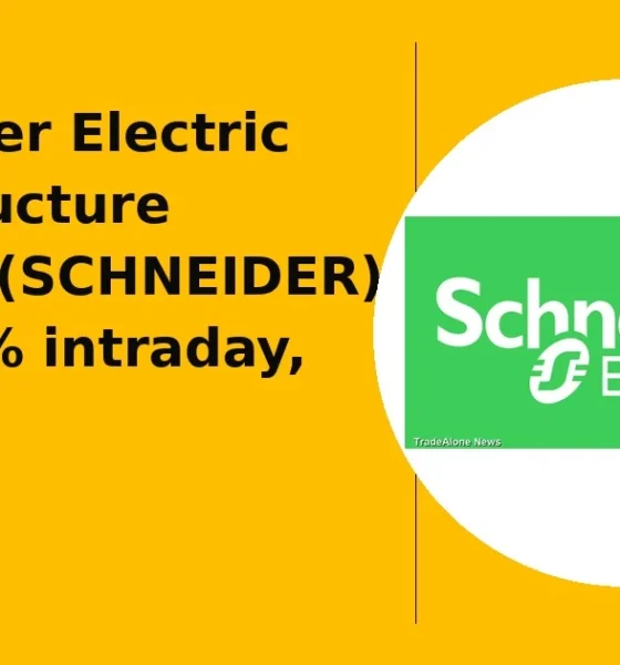 Schneider Electric Infrastructure Limited SCHNEIDER falls 10% intraday breaks below support