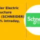 Schneider Electric Infrastructure Limited SCHNEIDER falls 10% intraday breaks below support