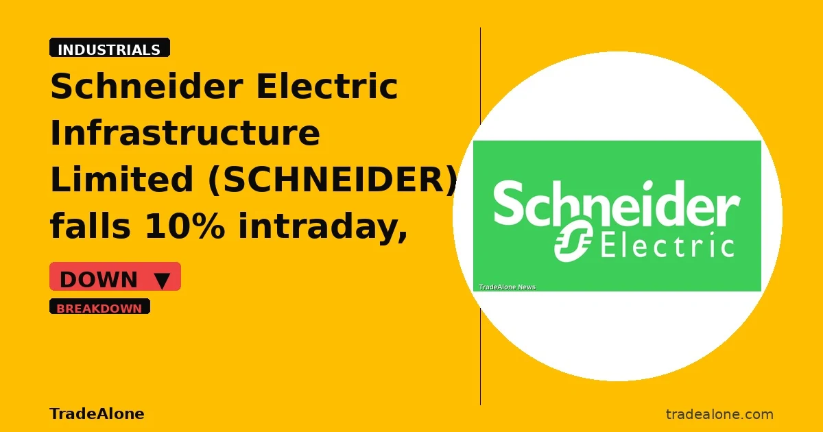Schneider Electric Infrastructure Limited SCHNEIDER falls 10% intraday breaks below support