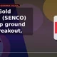 Senco Gold Limited NSE SENCO down 10% intraday