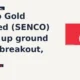 Senco Gold Limited SENCO pulls back from breakout highs