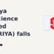Supriya Lifescience Limited SUPRIYA falls 6% intraday